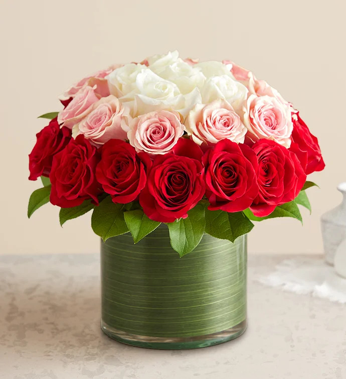 Ombre Roses | 1800flowers.com