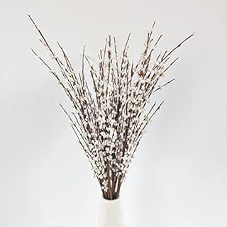 Lanmik 40 Stems 17.5 Inches Real Natural Dried Pussy Willow Branches for Vases Pussy Willows Drie... | Amazon (US)