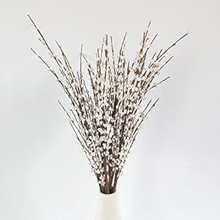 Lanmik 40 Stems 17.5 Inches Real Natural Dried Pussy Willow Branches for Vases Pussy Willows Drie... | Amazon (US)