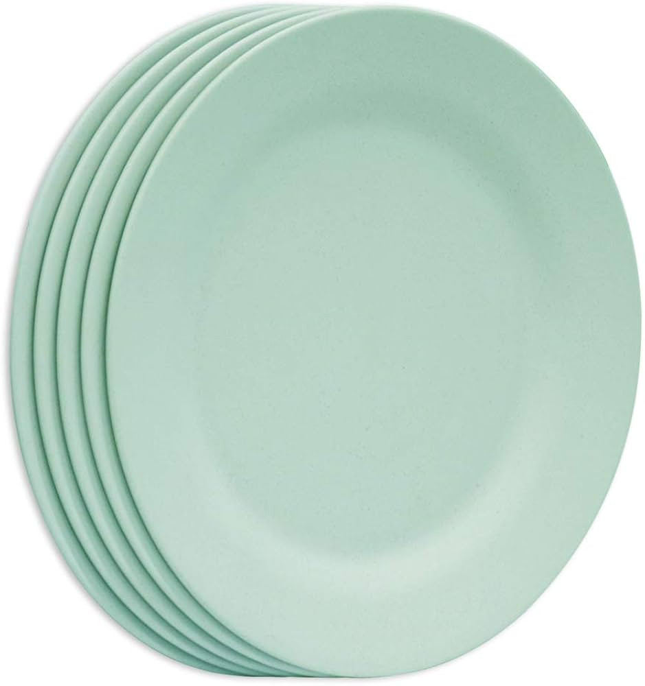 SNOMEL 11 Inch Dinner Plate Set, Extra Large Pasta Plates, Unbreakable Dishes, Lightweight Wheat ... | Amazon (US)
