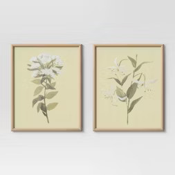 (Set of 2) 16" x 20" Neutral Florals Framed Under Glass - Threshold™ | Target