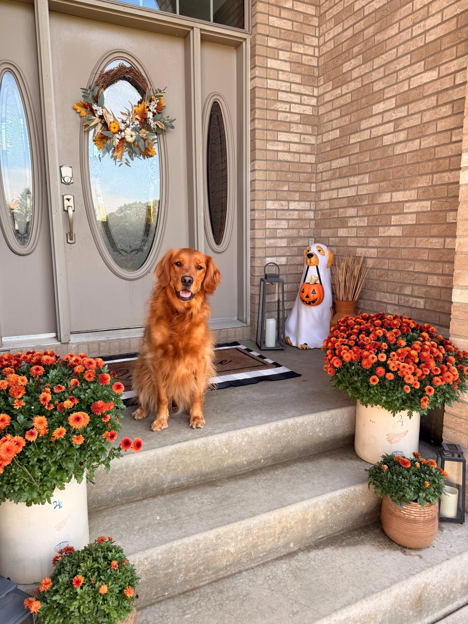 We are ready for all things fall! 

#LTKHalloween #LTKSeasonal #LTKFallSale