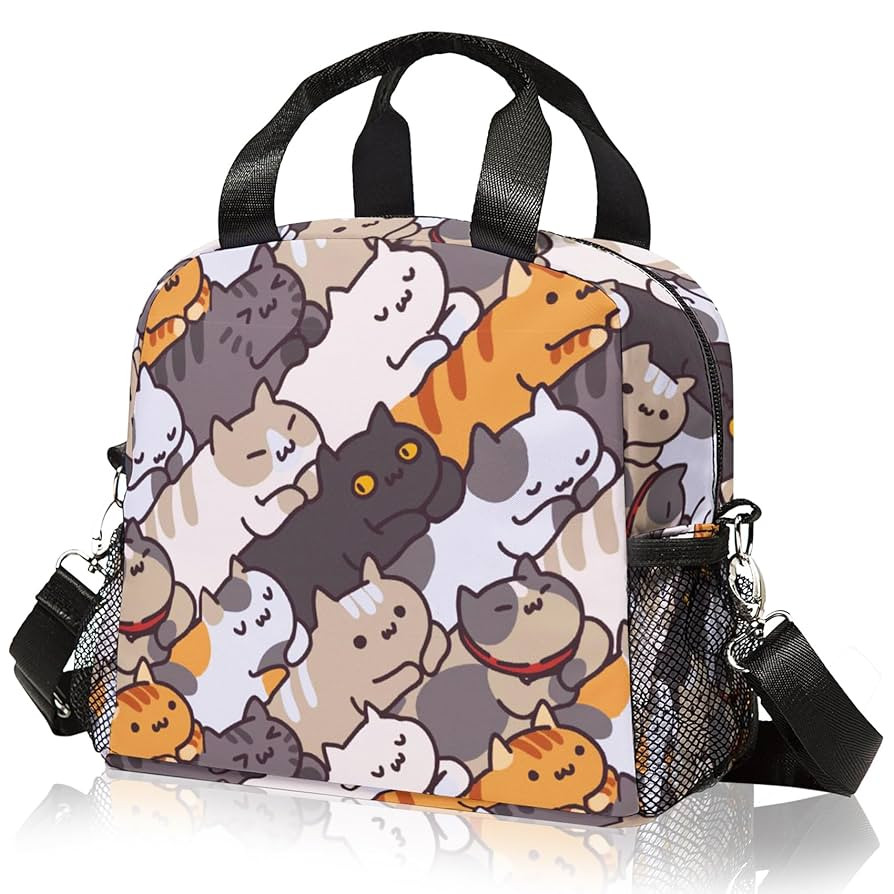 Lunch box Kids,Insulated Cat Lunch Bag Cute Small Lunch Totebag Reusable Leakproof Lunch Bag With... | Amazon (US)