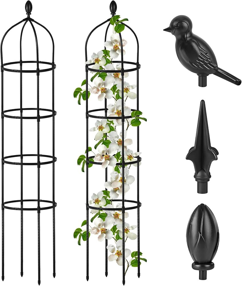 Garden Obelisk Trellis for Climbing Plants Outdoor 6 Ft Rose Bush Round Trellis for Pots Rustproo... | Amazon (US)