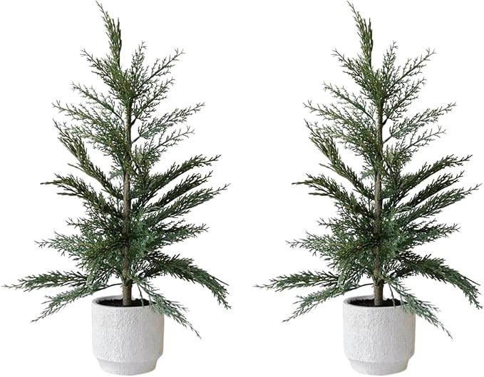 CG Hunter Holiday Collection, Set-of-2 Faux Cedar Trees, Premium Artificial Indoor & Outdoor Ceda... | Amazon (US)