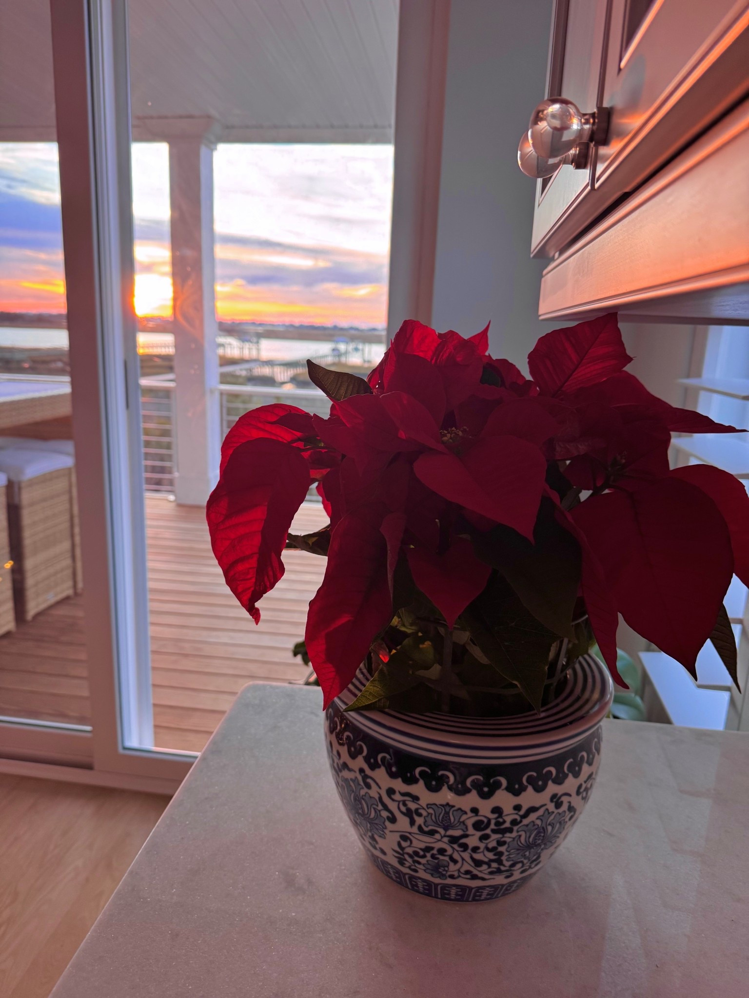 Beautiful live Poinsettia in a timeless Chinoiserie pot for the Holidays- I love rotating plants and the versatility of this pot- it comes in 5 sizes- this is the small size and fits ac6-7 inch diameter plant

#LTKHoliday #LTKHome