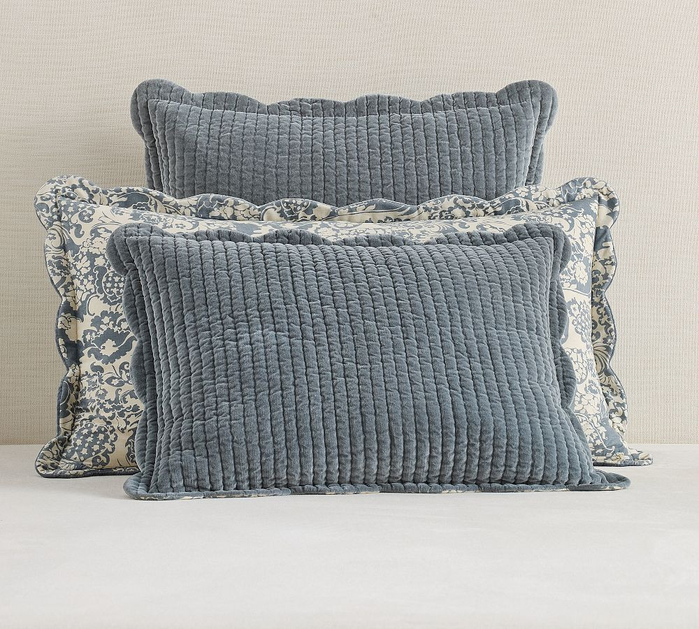 Velvet Scallop Edge Reversible Quilted Sham | Pottery Barn (US)