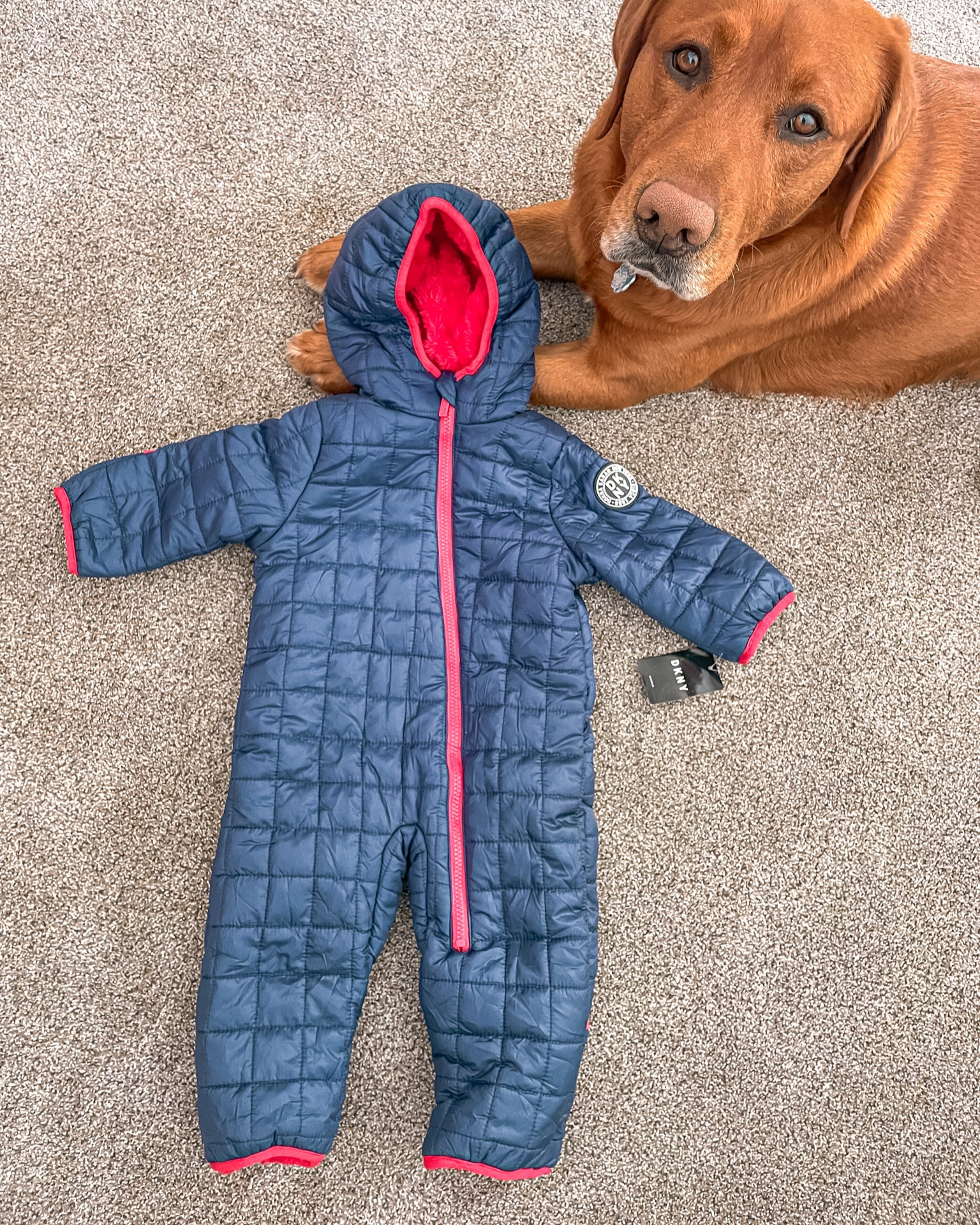 I found this BRAND NEW DKNY snowsuit at a local thrift shop 🙌🏼 linking similar ones at major discounts ❄️

#LTKsalealert #LTKFind #LTKbaby