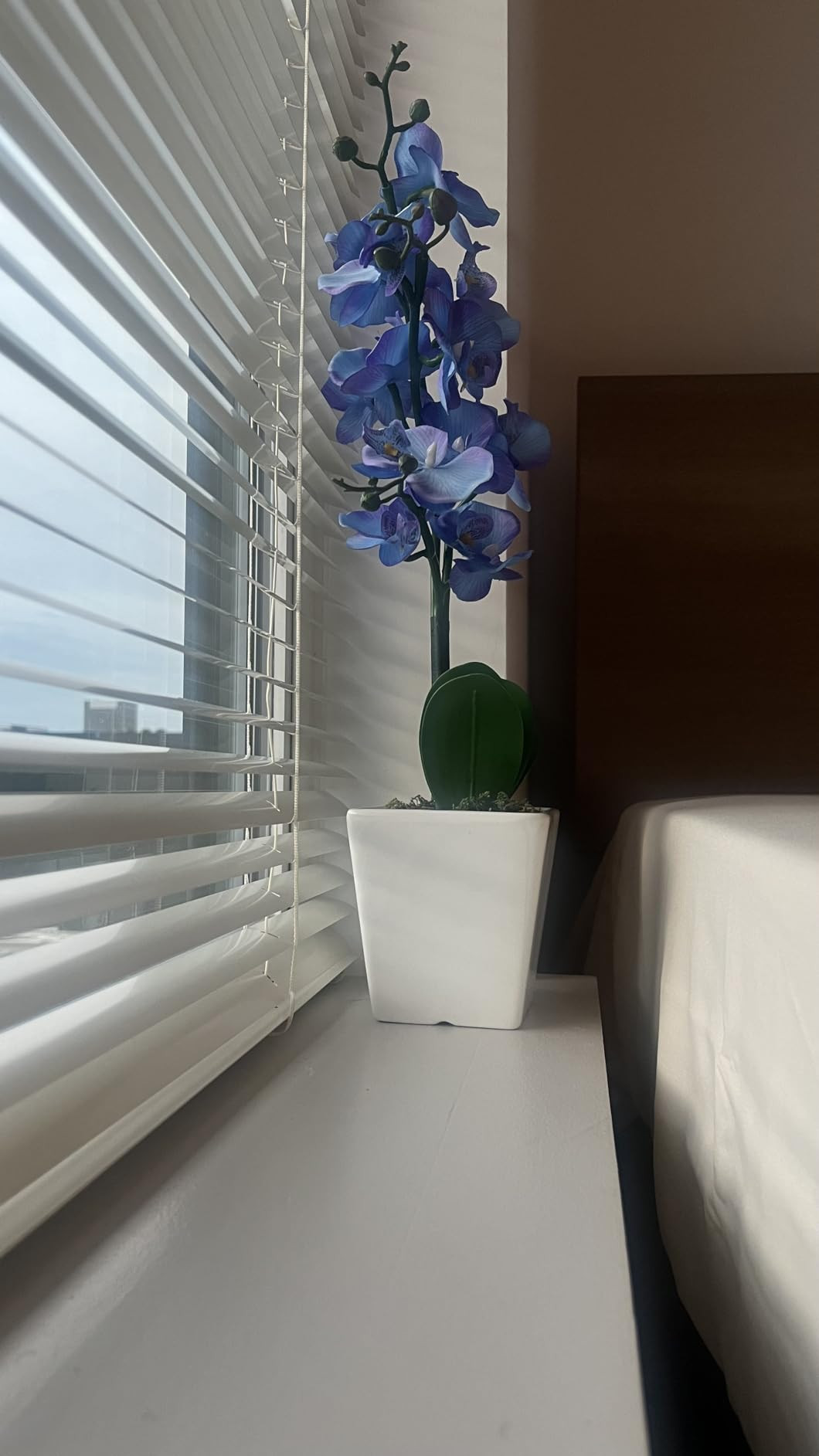 Faux Orchid in Vase Tall Artificial Orchid in Ceramic Vase Tall Silk Orchids with Stems Real Look... | Amazon (US)