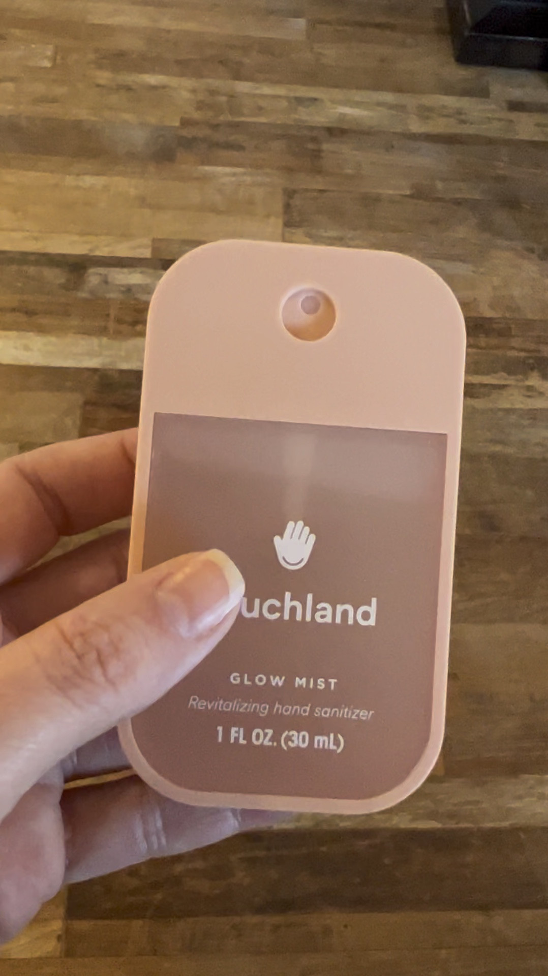 It’s the little things ☺️… this hand sanitizer smells so good (Rosewater scent)! It has 500 sprays in one bottle.  I also bought the travel pouch. 

#LTKBeauty