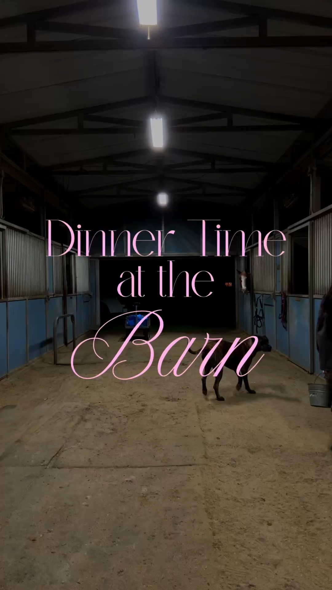 feeding the horsies dinner🐴

#LTKfashion