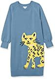 Amazon Essentials Girls and Toddlers' Raglan Sweater Dress | Amazon (US)