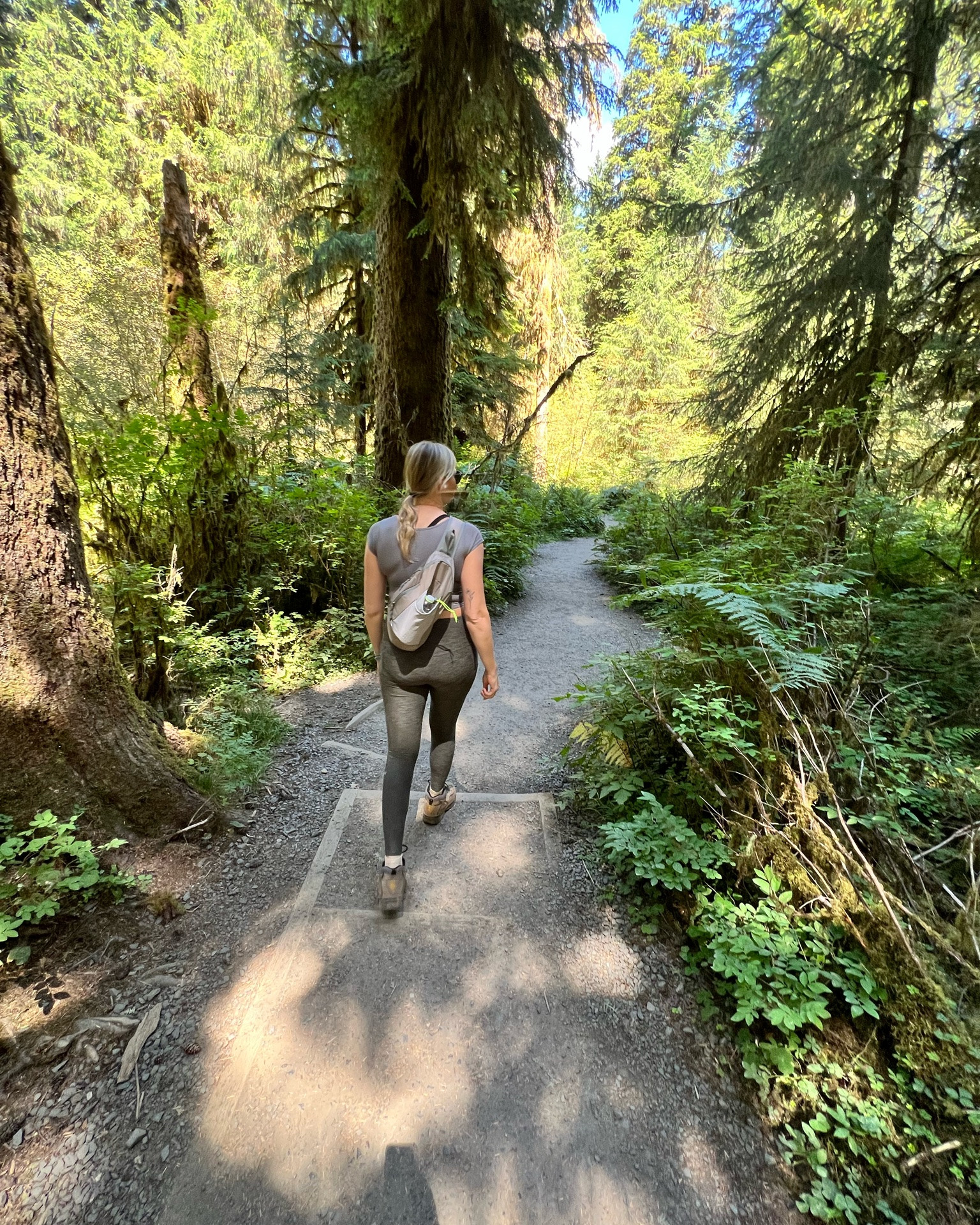 Hiking through the Hoh Rainforst is something I’ve never experienced. 🌿

Loved my new crossbody small hiking pack. Perfectly fits my water bottle with easy access, big zipper to hold layers or snacks, and a small zipper to keep valuables protected.

#LTKActive #LTKTravel