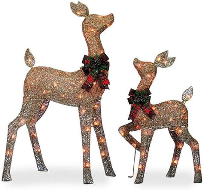 Winter Wonder 2 Piece Holiday Light Up Glittering Deer Set - Christmas Light Up Reindeer Outdoor ... | Amazon (US)