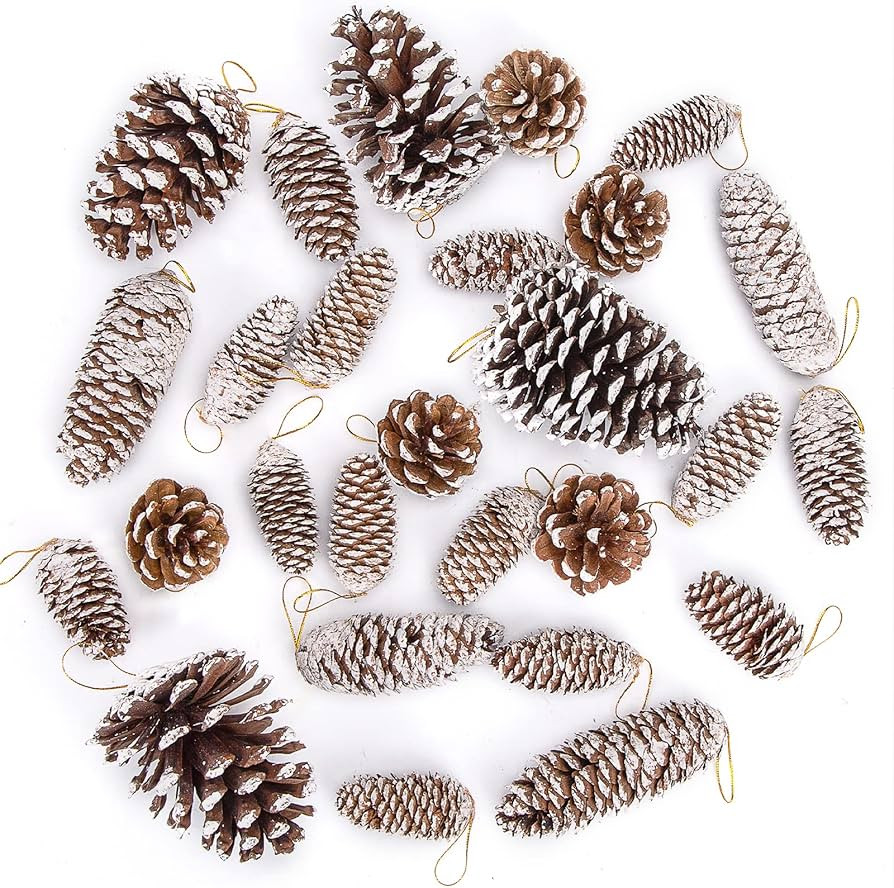 JOHOUSE Natural Pine Cones with Snow, 28PCS Christmas Pinecones with Strings Assortment Rustic Pi... | Amazon (US)