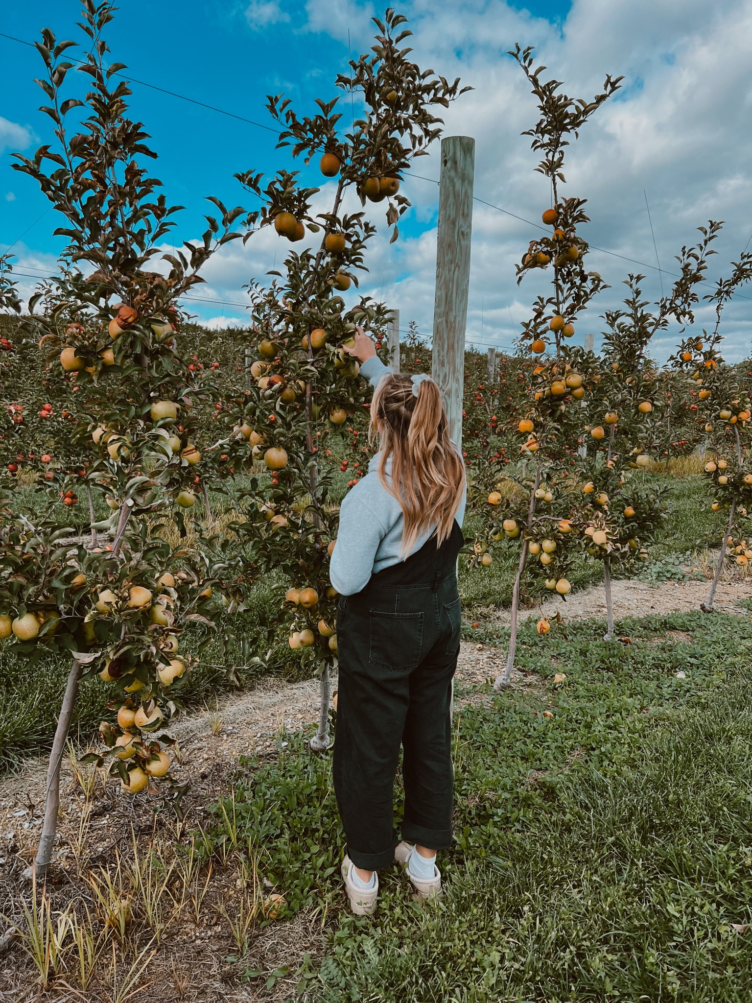 fall outfit #freepeople #overalls #ugg #applepicking #falloutfitinspo

#LTKStyleTip #LTKHalloween #LTKSeasonal