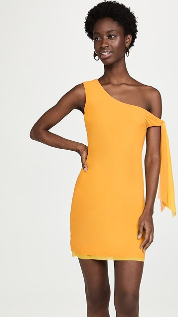 Chi Chi Dress | Shopbop
