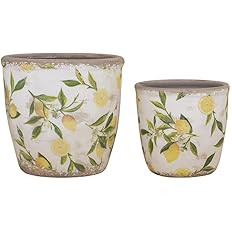Amazon.com: T2 CONCEPT Set of 2 Ceramic Lemon Planters - Mediterranean Distressed White Flower Po... | Amazon (US)