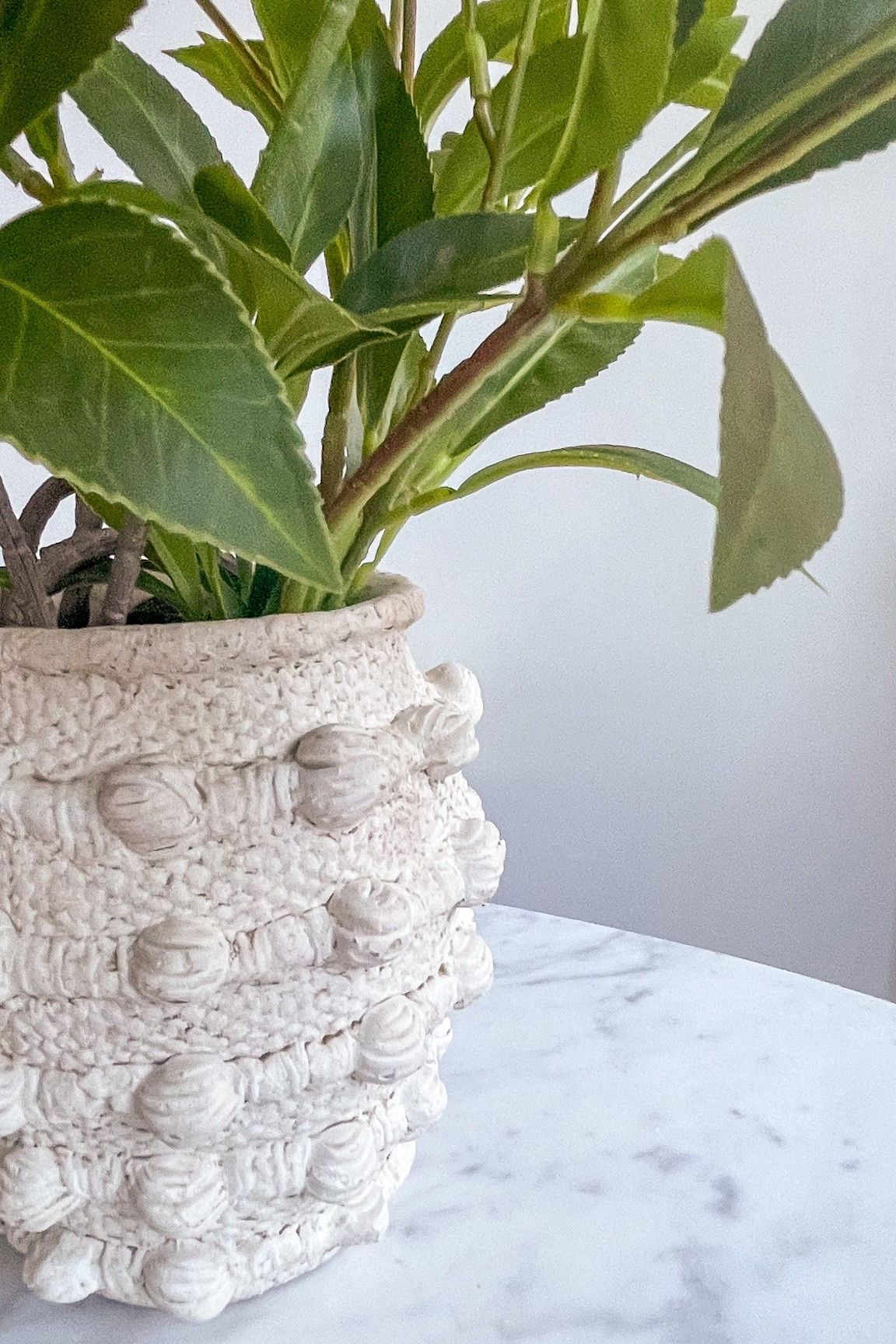 A new dupe for this Anthropologie  vase just dropped, plus tons of other designer inspired finds!

#LTKSaleAlert #LTKHome #LTKStyleTip