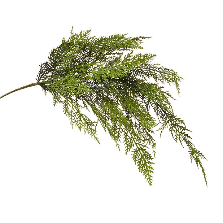 CEDAR SPRAY - 305 Deco Living | 305 Deco Living & Co