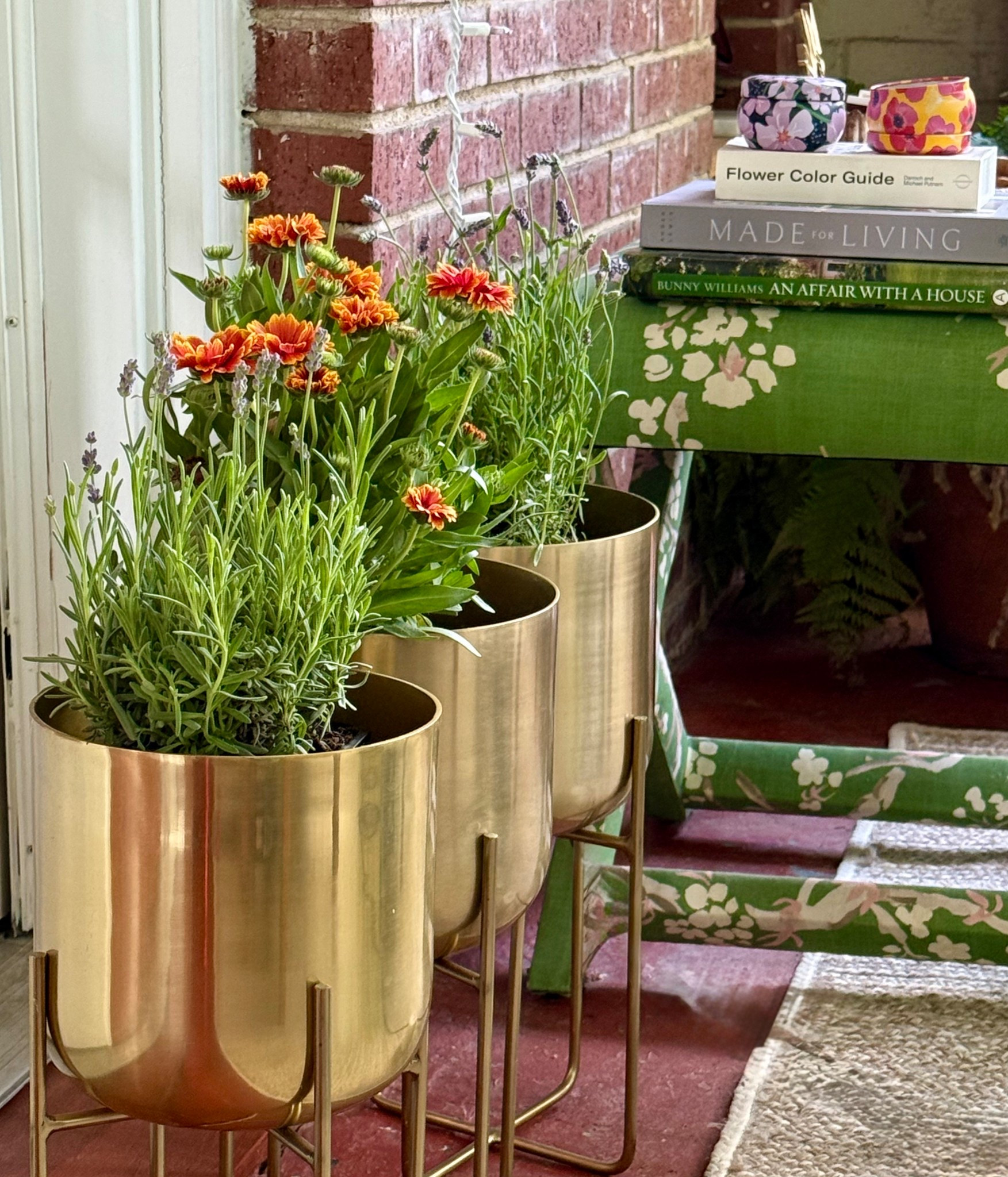 I’ve shared these gorgeous planters before and now I’ve moved them + switched up the plants. I use them with or without the stands - they are so versatile! 

#LTKMothersDay #LTKHome #LTKdayinmylife