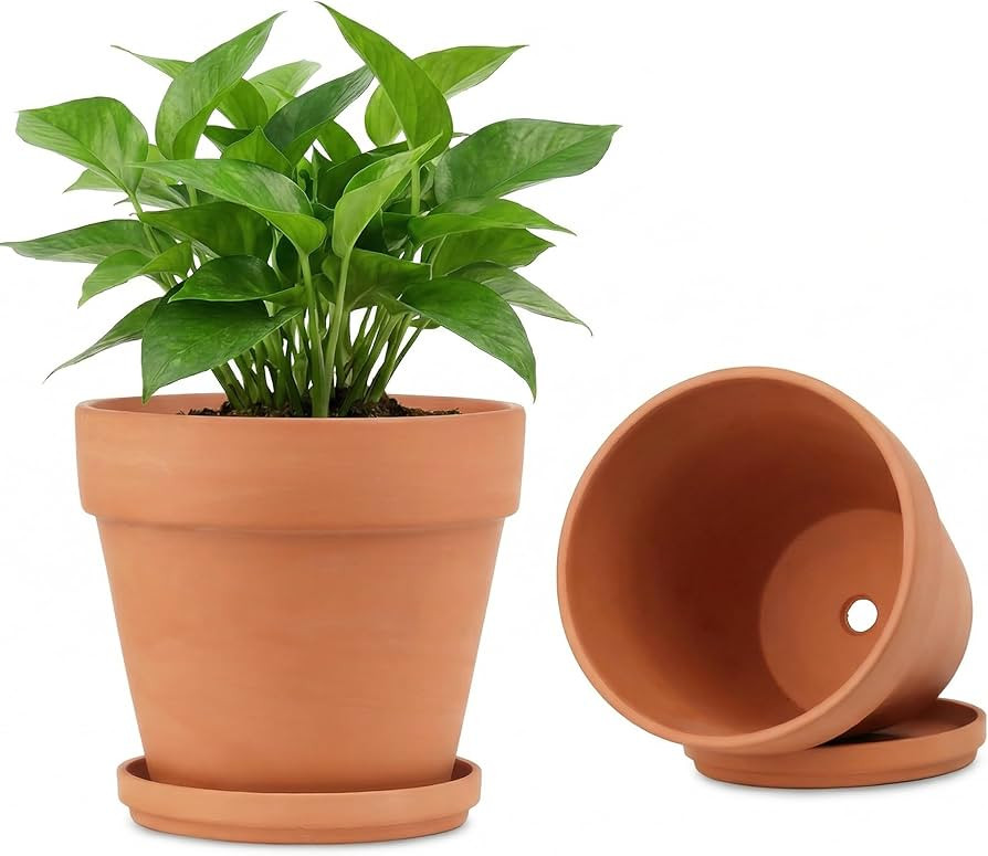 Riseuvo 8 Inch Large Terracotta Pots with Saucers – 2 Pack Big Clay Flower Pots with Drainage H... | Amazon (US)