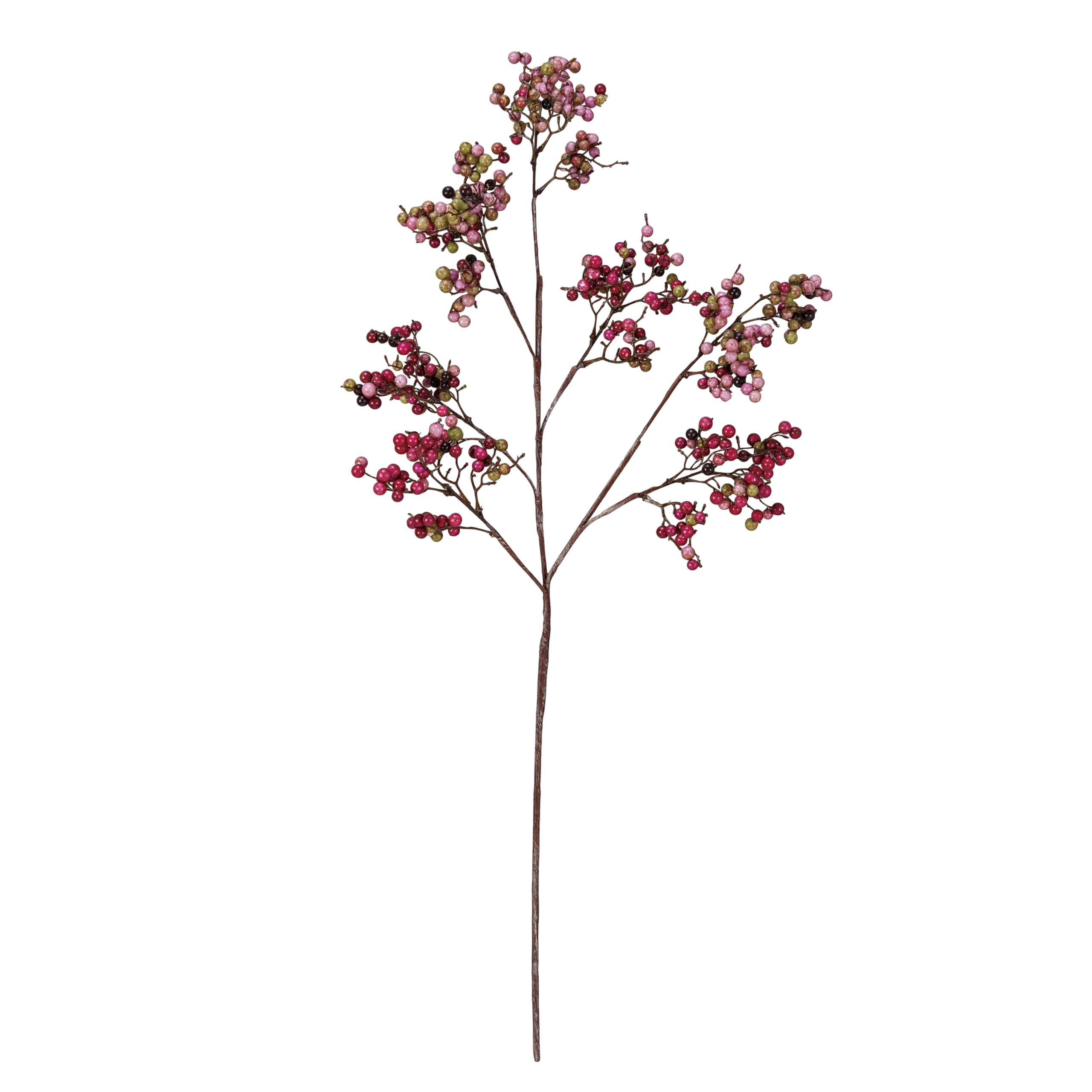 Creative Co-Op Faux Berry Stem with Metal and Polyethylene, Burgundy | Amazon (US)