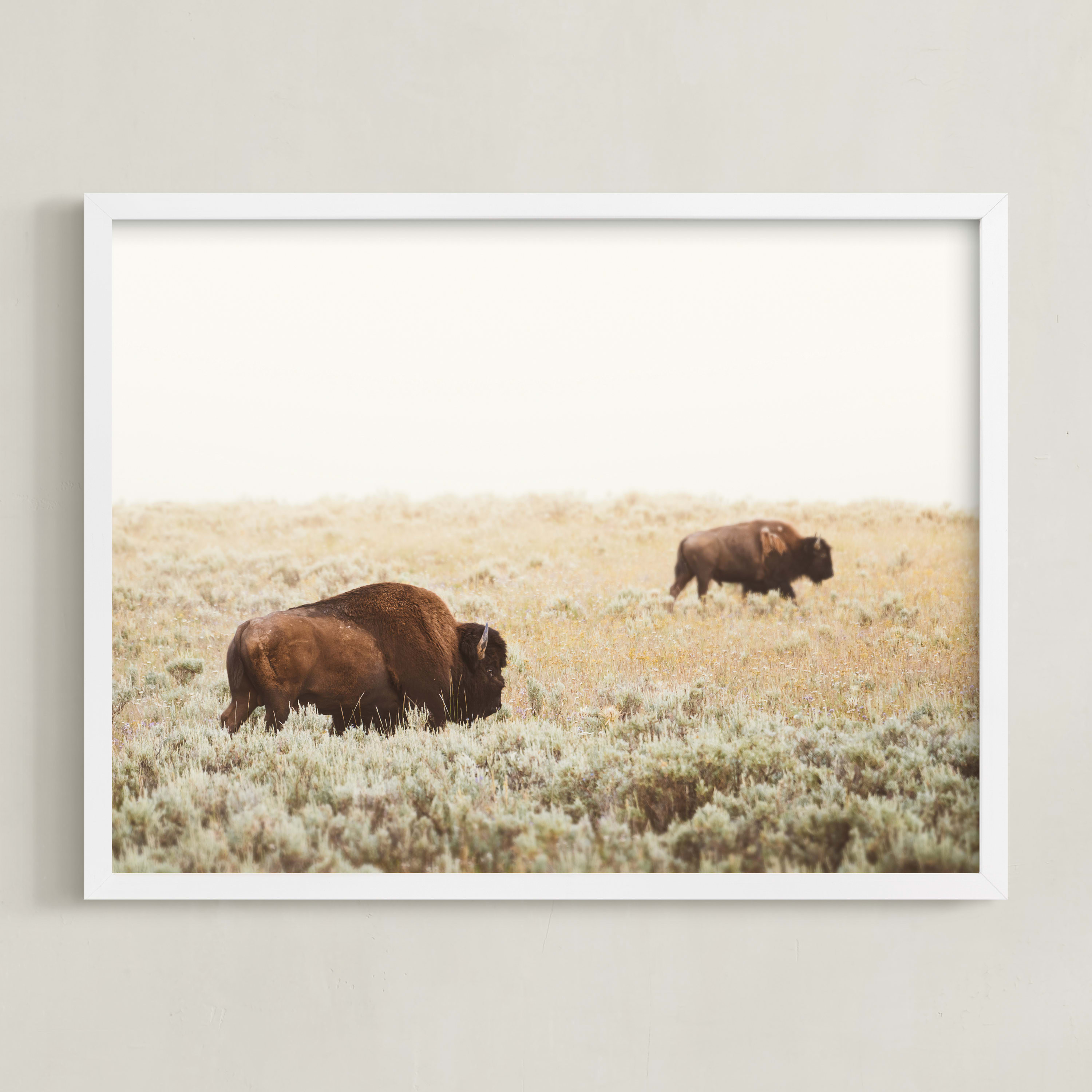 "Bison" - Photography Limited Edition Art Print by Kamala Nahas. | Minted