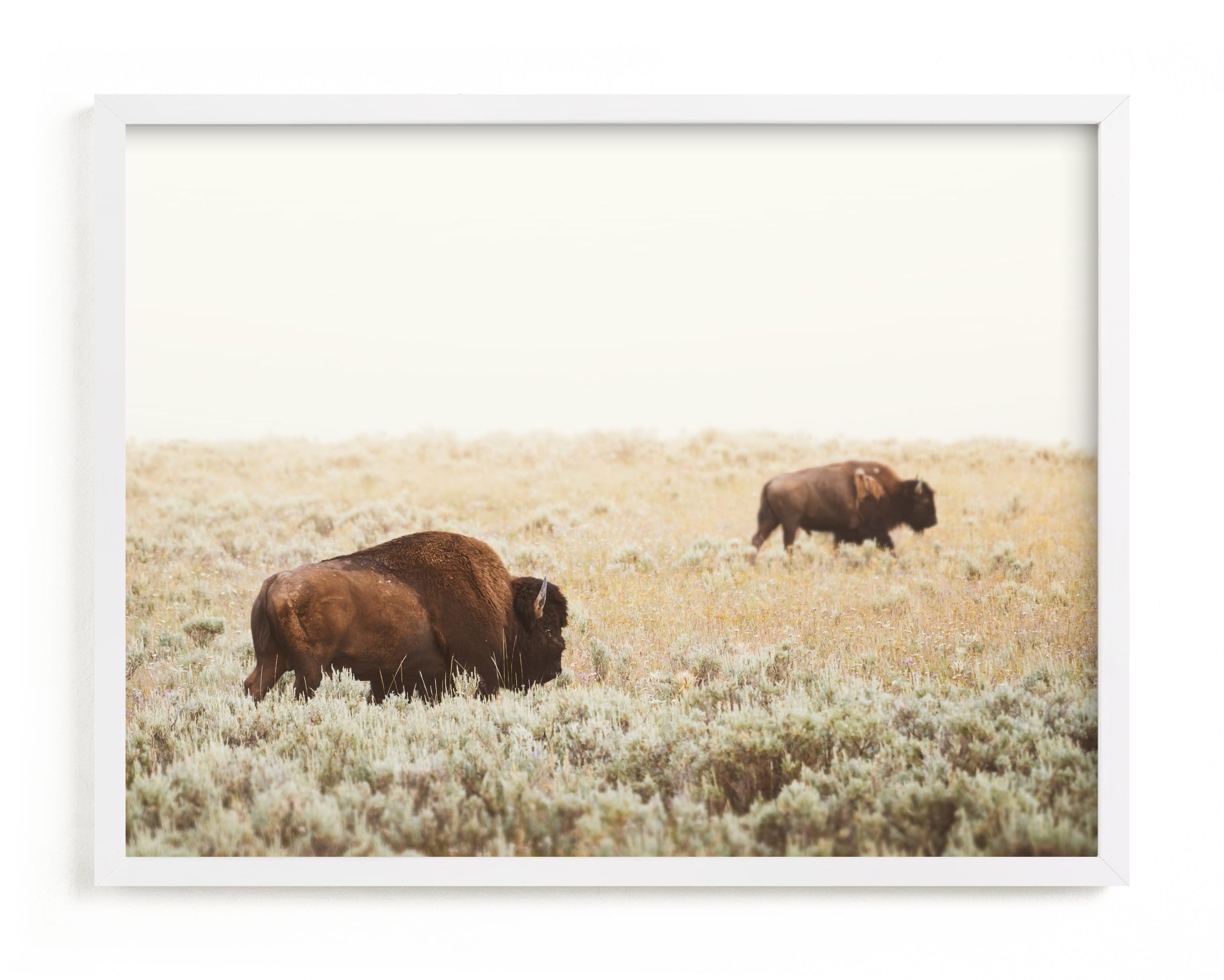 "Bison" - Photography Limited Edition Art Print by Kamala Nahas. | Minted