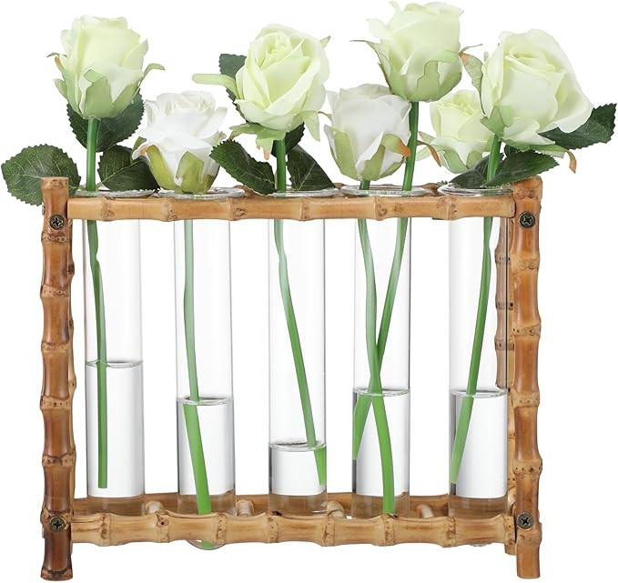 Natural Bamboo Vase with 5 Glass Tubes, Plant Propagation Station with Test Tube, Hydroponic Plan... | Amazon (US)