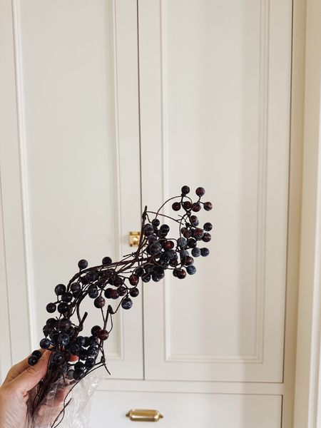 Blueberry garland that I plan to mix with other garland I have! Linked several garlands I got recently below.

Also linked my kitchen hardware!

#LTKhome #LTKSeasonal #LTKHoliday