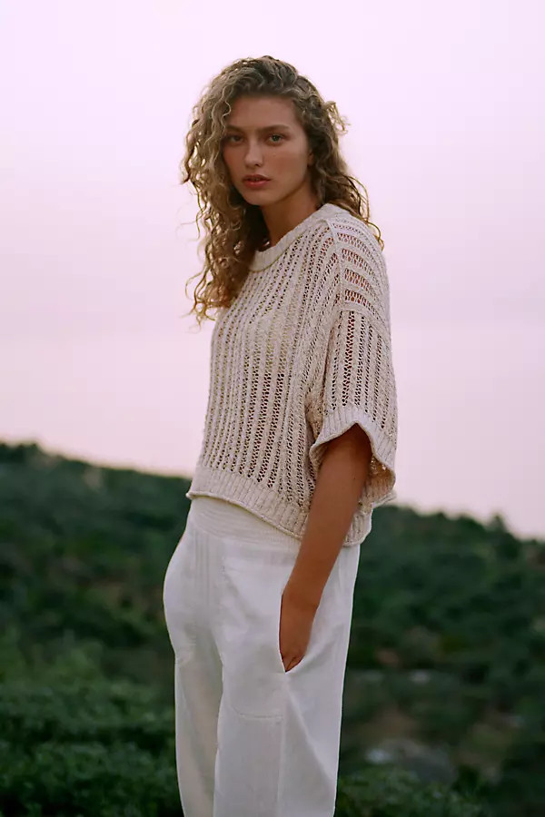 Goldie Corded Mesh Crew-Neck Sweater | Anthropologie (US)
