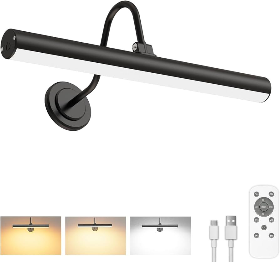 Bridika Picture Light Battery Operated, Picture Light for Wall with Remote, 3 Color Modes and Dim... | Amazon (US)