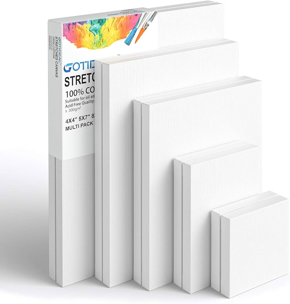 GOTIDEAL Stretched Canvas, Multi Pack 4x4, 5x7, 8x10,9x12, 11x14 Set of 10, Primed White - 100% C... | Amazon (US)