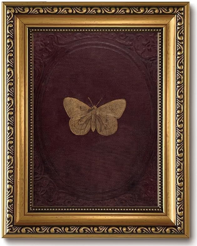 Butterfly | Amazon (US)