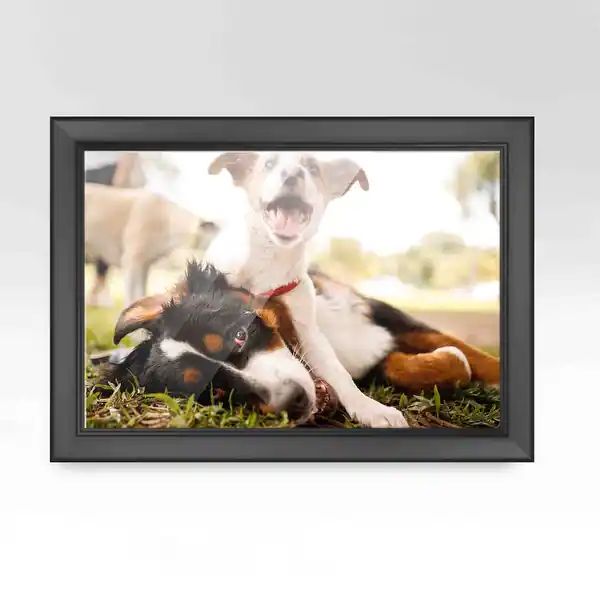 22x26 Black Picture Frame - Wood Picture Frame Complete with UV - Walker | Bed Bath & Beyond