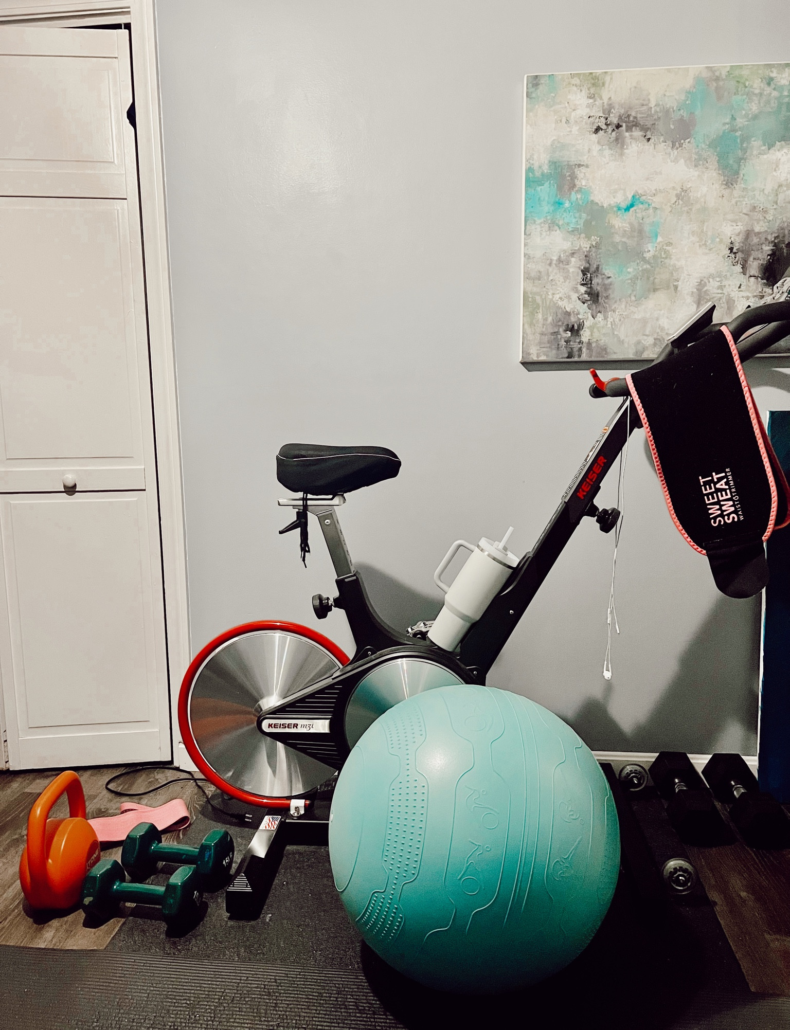 My home workout set up. Aka my happy place

Links to spin bikes, dumbbells, yoga balls and Stanley thermos like mine! 

#LTKfindsunder100 #LTKfitness #LTKhome