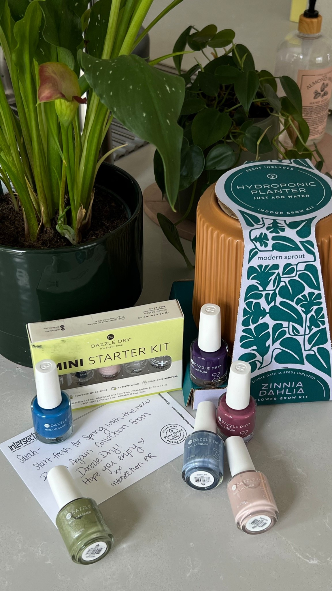 new colors for spring from dazzle dry! @intersectiontheagency

#LTKBeauty #LTKHome #LTKSeasonal