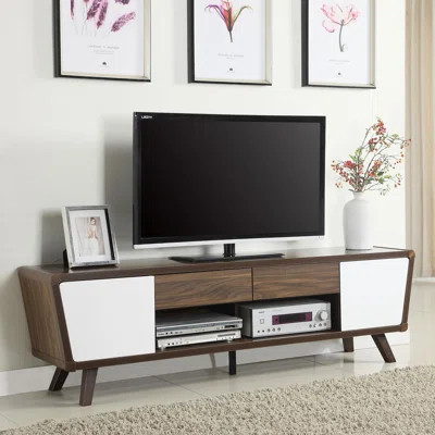 2-Door TV Console | Wayfair North America