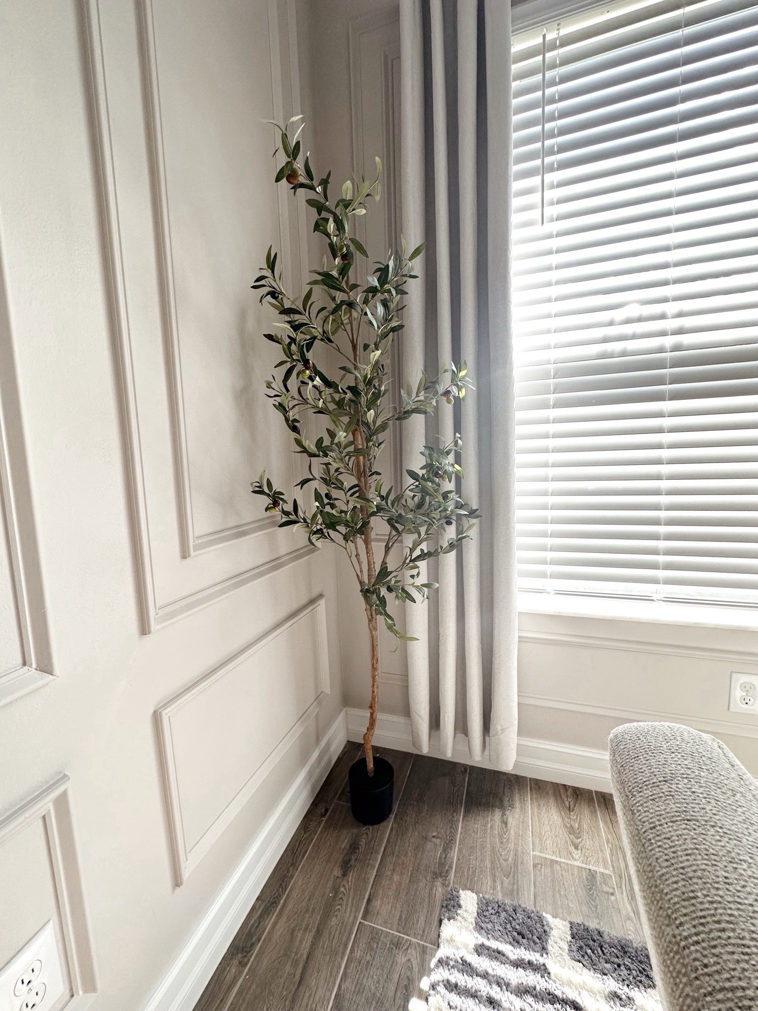 Olive tree on sale at Walmart !! 

Olive tree, home decor, faux plant, Walmart, summer sales 

#LTKSummerSales #LTKHome #LTKSaleAlert