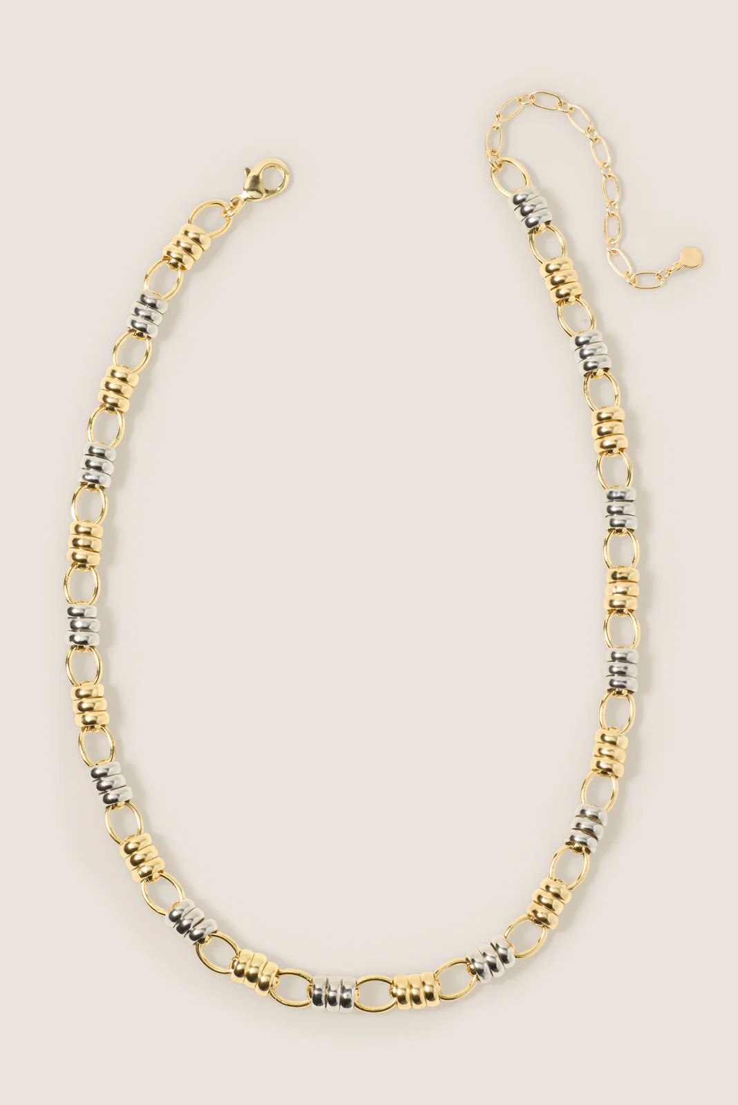 Camelia Chain Necklace | Evereve