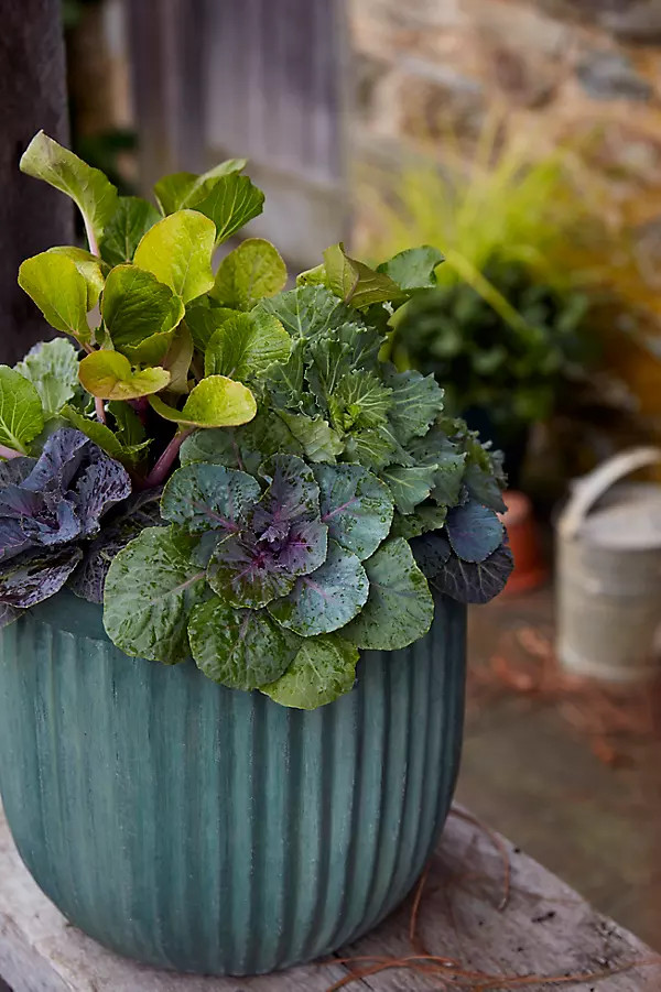 Fiber Concrete Barrel Pot, 16" | Terrain