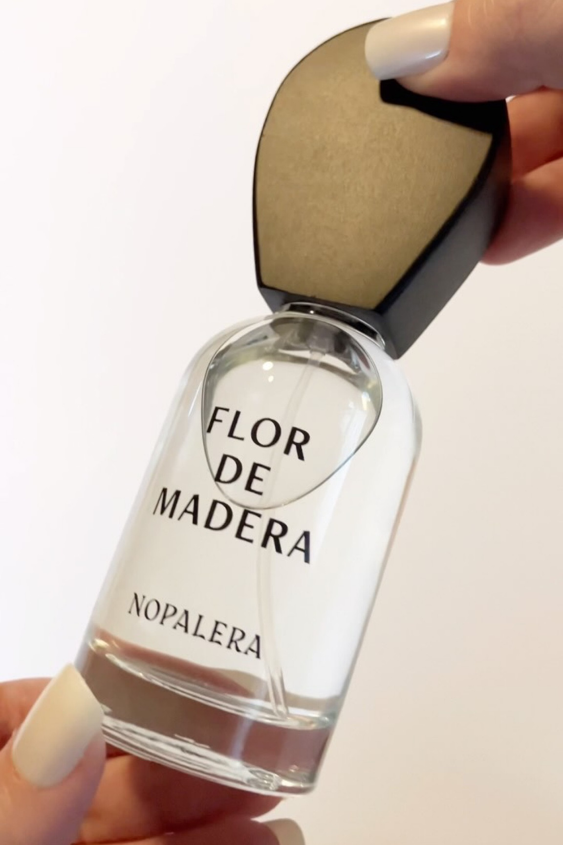 🍊 @nopalera.co Flor de Madera 🍊 #gifted

This is one of my favorite fragrances of all time! Flor de Madera by Nopalera is a fresh, woodsy scent that blends tamarind and citrus with soft jasmine and violet. Warm notes of cedarwood and musk add a grounding finish, making it bold yet inviting.

🧡 Top: Tamarind, Mexican Citrus
💛 Mid: Violet, Jasmine Petal, Vetiver
🧡 Base: Musk, Cedarwood

Thank you to Nopalera & @beautytapofficial for gifting me this beautiful fragrance!

.
.
.
.
.
.

#nopalera #beautytap #ugc #beautyugc #christmasgift #christmasgiftideas #Fragrance #Perfume #PerfumeCollection #ScentOfTheDay #FragranceLover #PerfumeAddict #FragranceCollection #PerfumeReview #LuxuryPerfume #FragranceCommunity #PerfumeLovers #FragranceAddict #PerfumeOfTheDay #FragranceObsessed #PerfumeLover #LuxuryFragrance #FragranceOfTheDay #PerfumeCommunity #Scent