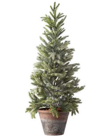 The Holiday Aisle® Frosted Spruce Cedar Tree in Pot | Wayfair North America