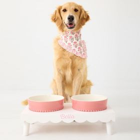 Build Your Pet Bowl Stand | Mark and Graham