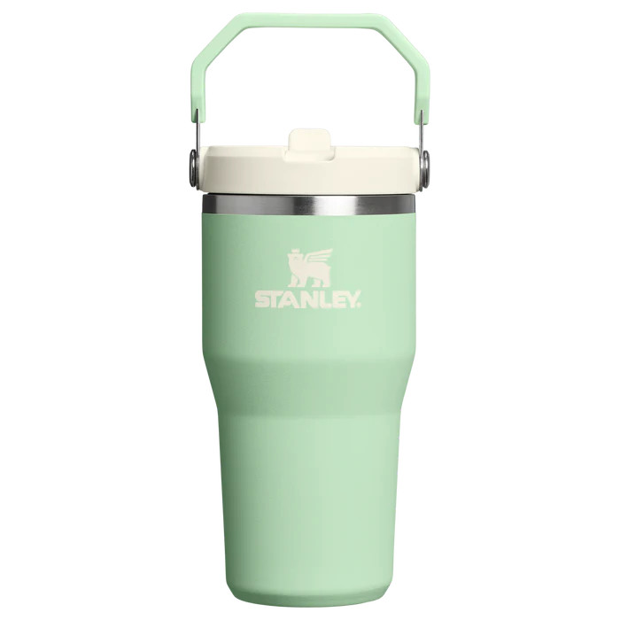 The IceFlow Flip Straw Tumbler | 20 OZ | Insulated Water Bottle | Stanley PMI US