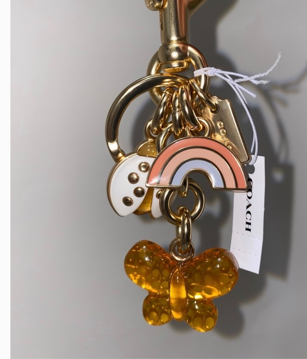 Coach Mix Butterfly Ladybug Pastel Rainbow Bag Charm Keychain Bag Fob

#LTKSaleAlert #LTKgrwm #LTKootd