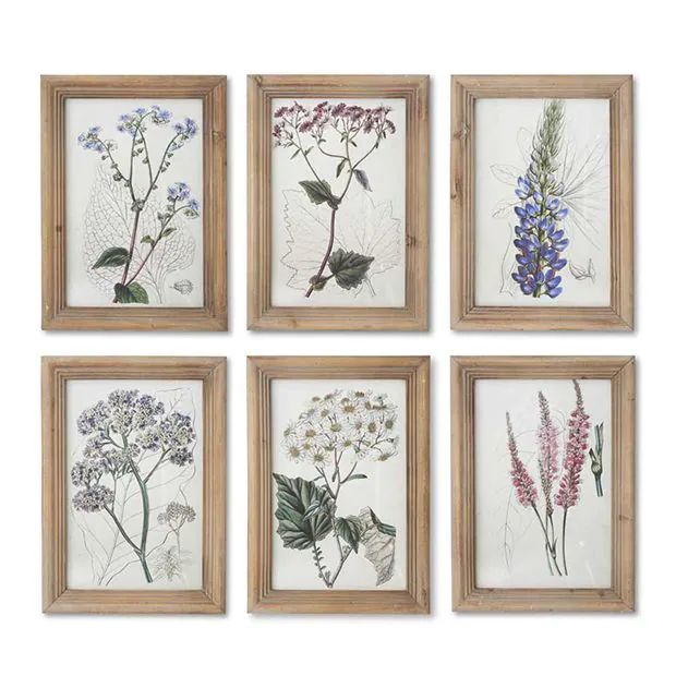 Framed English Garden Botanical Prints Set of 6 | Antique Farm House