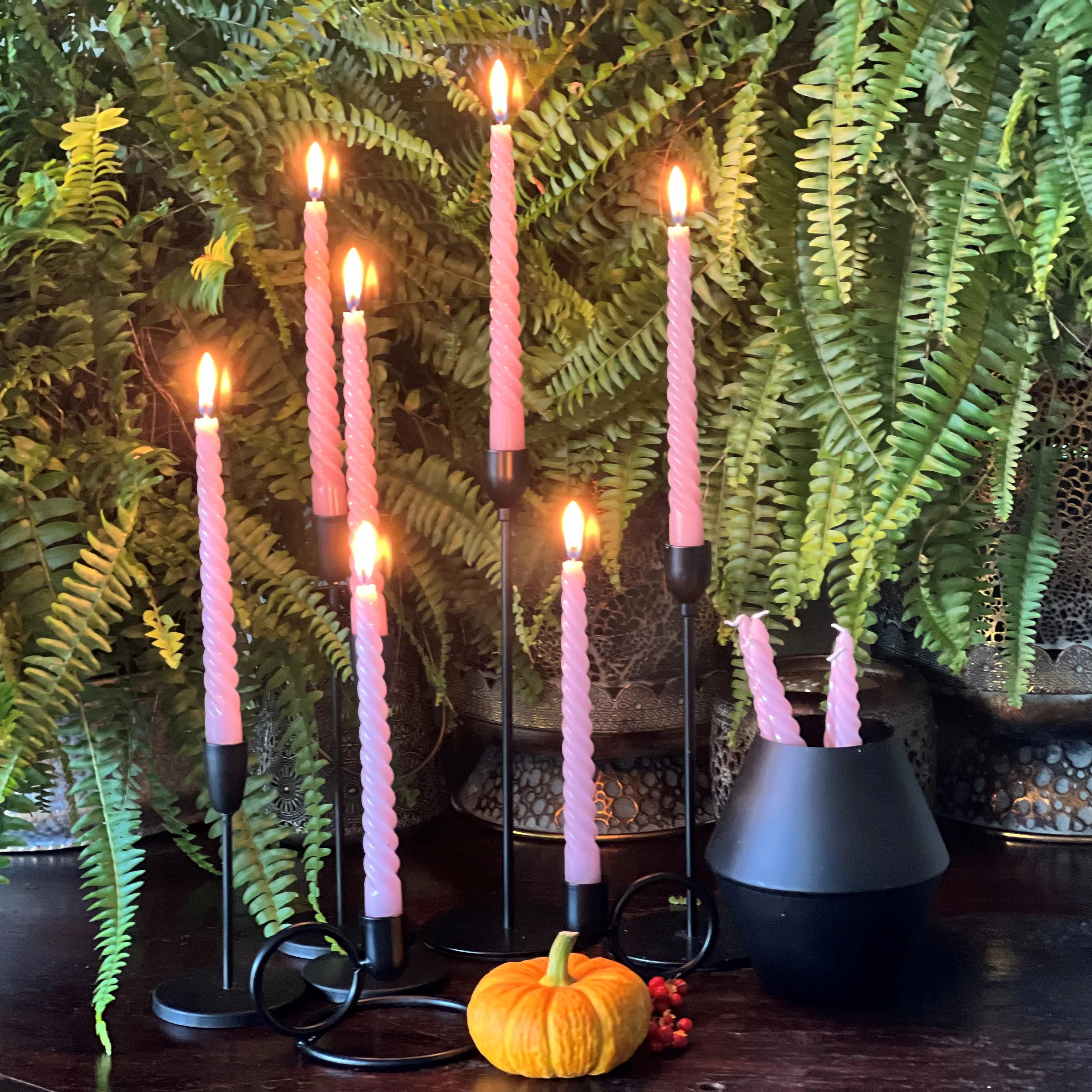 Unscented Taper Candle (Set of 12) | Wayfair North America