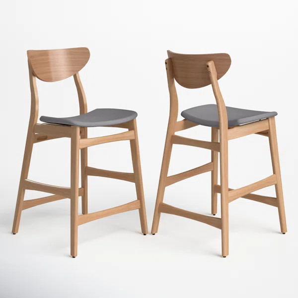 Fitz 24" Counter Stool (Set of 2) | Wayfair North America